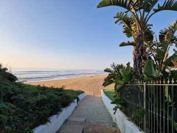 MarYVida40-360x272 - Mar y Vida