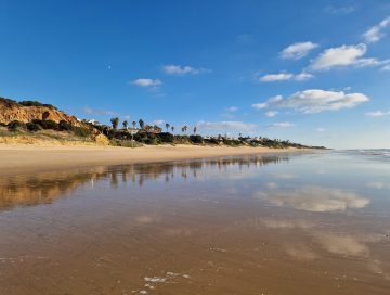 MarYVida42-360x272 - Mar y Vida