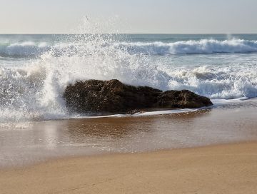 MarYVida44-360x272 - Mar y Vida